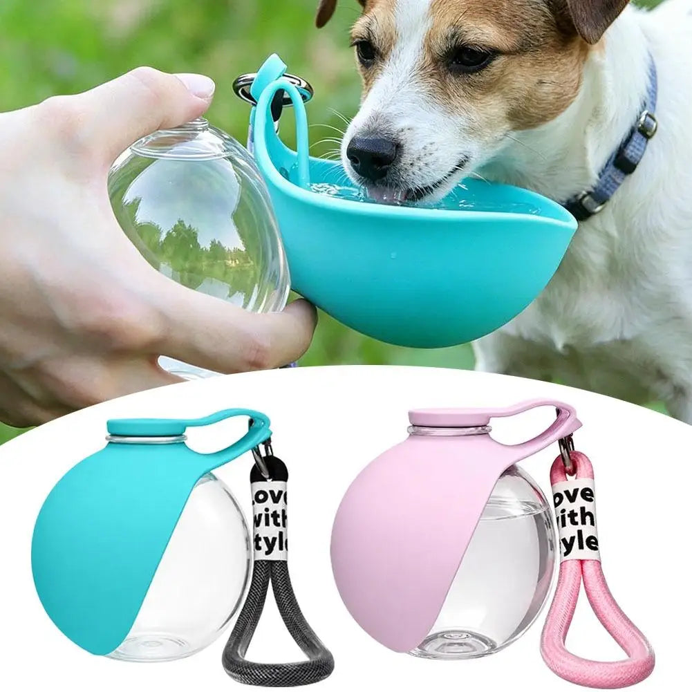 Portable dog water bottle