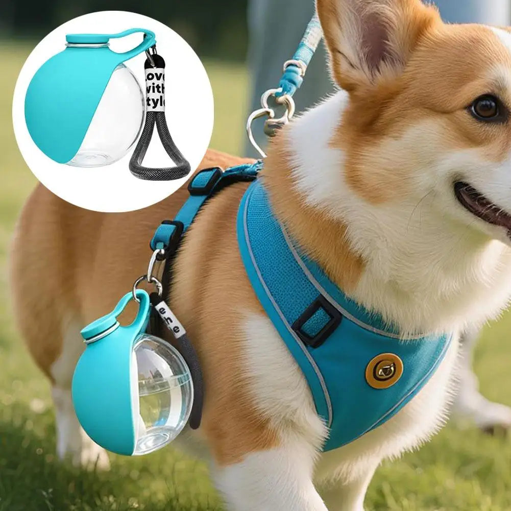 Portable dog water bottle