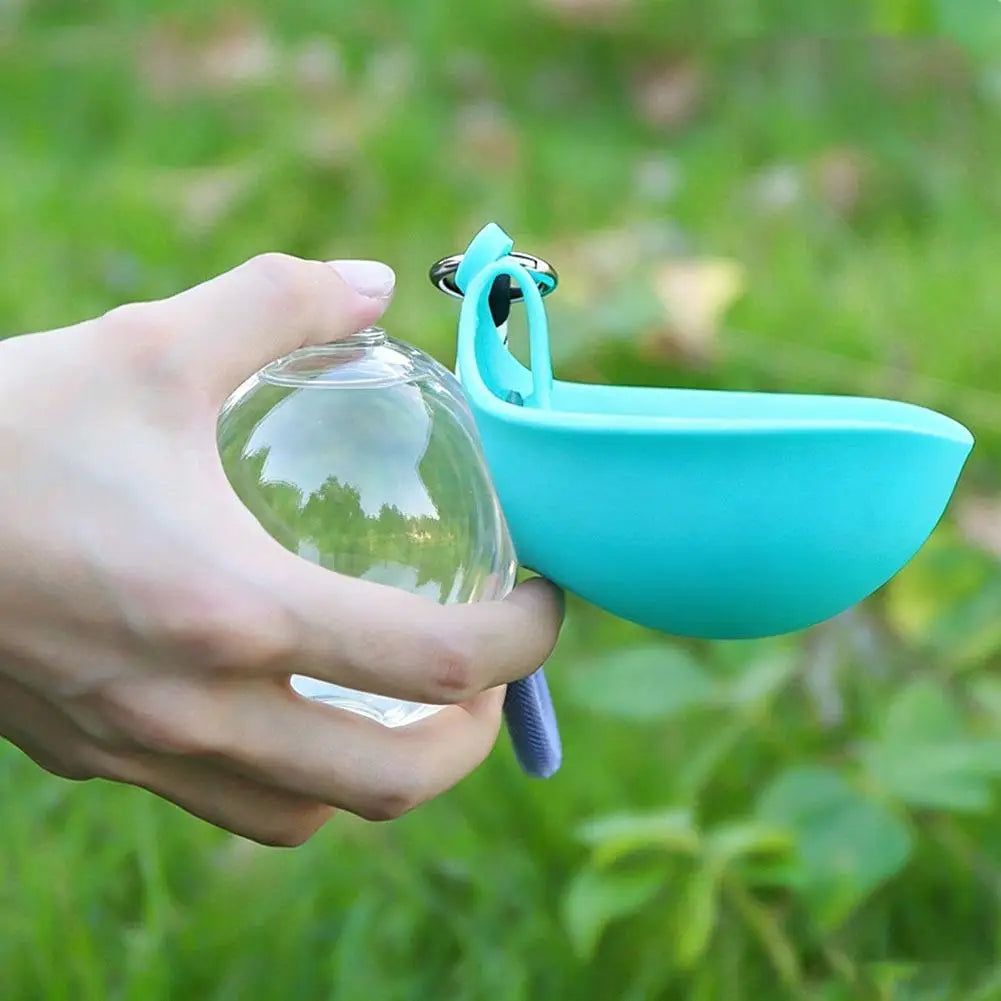 Portable dog water bottle