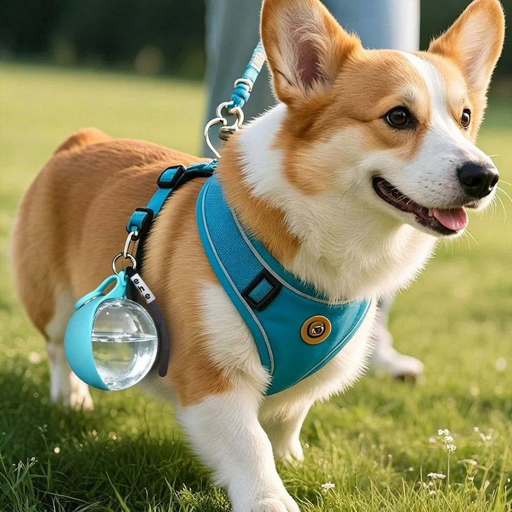 Portable Dog Water Bottle Leakproof Pet Travel Water Dispenser with Bowl for Walking Hiking Outdoor