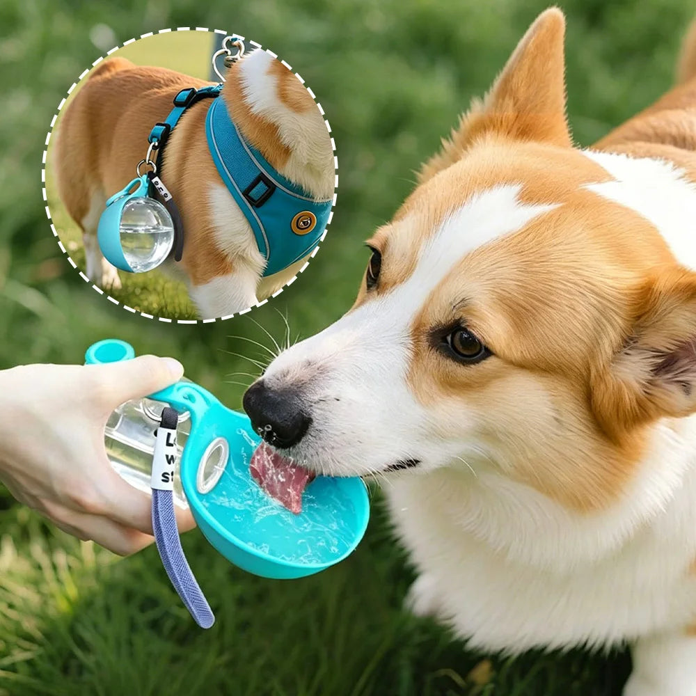 Portable Dog Water Bottle 285ml