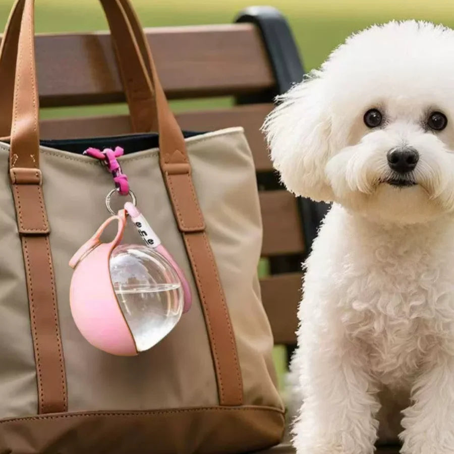 Portable Pet Water Cup PET Plastic Foldable Spherical Reusable Water Dispenser with Hook, Outdoor Dog Travel Drinking Bottle