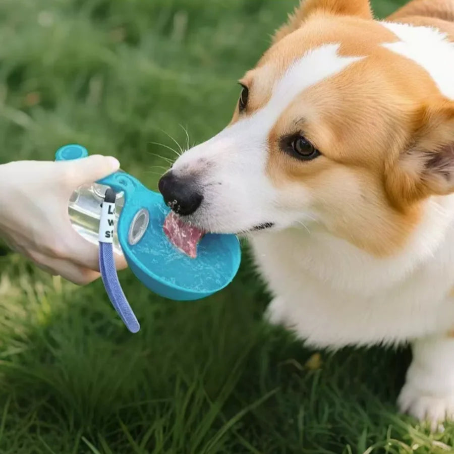 Portable Pet Water Cup PET Plastic Foldable Spherical Reusable Water Dispenser with Hook, Outdoor Dog Travel Drinking Bottle