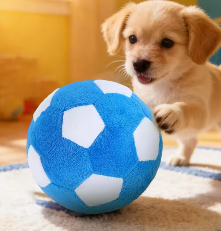 Dog Socer ball